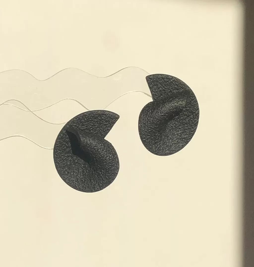 Discount Cristina Lucia Curve Earrings Svart